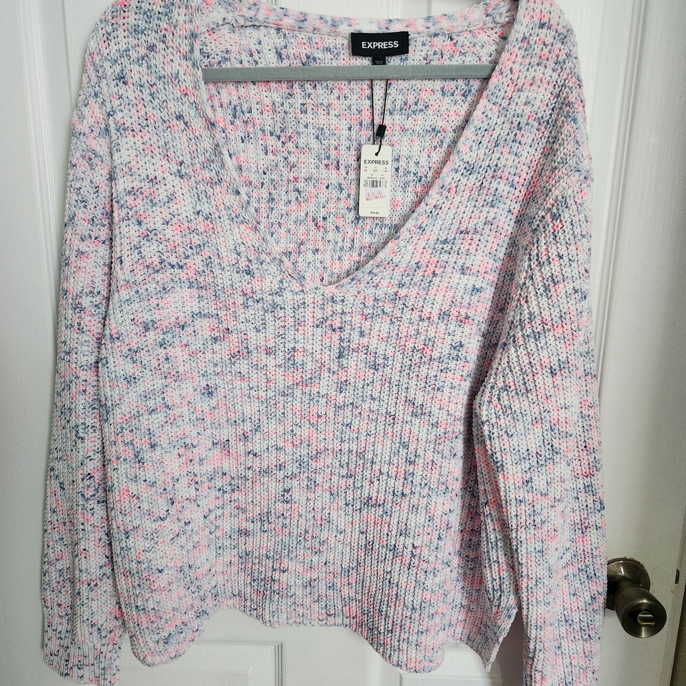 Express Pastel Knit Sweater
